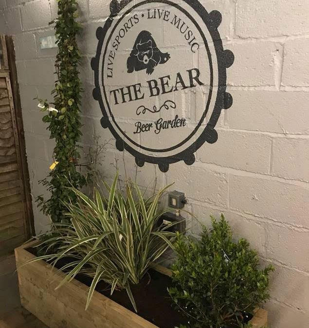 The Bear